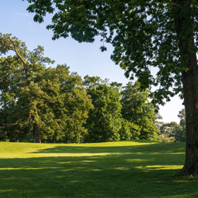 Parco Aldo Moro Ciampino