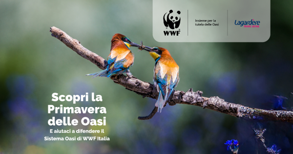 WWF 2025